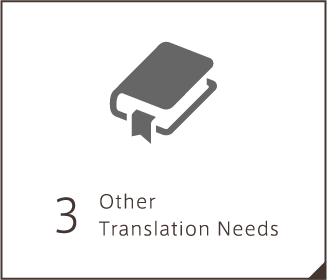 Other Translation Needs